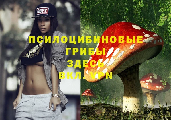 метадон Алексеевка